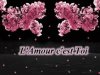 c'est l'amour.jpg c'est l'amour.jpg