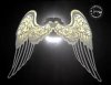 ailes d'ange.jpg