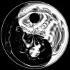 yin et yang 2.jpg