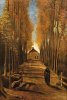 thm_2-pappelallee-im-herbst.jpg