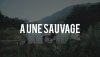 aunesauvage.jpg aunesauvage.jpg