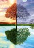 schmidt-spiele-arbre-des-4-saisons-puzzle-500-pieces.52177-1.fs.jpg
