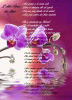 3080-Des%20orchidees%20sur%20fond%20violet_maxi.gif