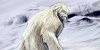 11501599lpw-11501628-article-yeti-asie-animaux-jpg_4802451_1250x625.jpg 11501599lpw-11501628-article-yeti-asie-animaux-jpg_4802451_1250x625.jpg