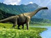apatosaurus-dinosaure-2-300x225.jpg