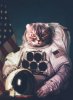 46699863-astronaute-de-beau-chat-.jpg 46699863-astronaute-de-beau-chat-.jpg