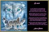 La meute....Loup.jpg