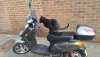 chat-montant-un-scooter-48364909.jpg