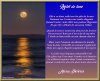 Reflet de lune..jpg