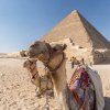 30-ventsetvoyages-egypte-565x565.jpg 30-ventsetvoyages-egypte-565x565.jpg
