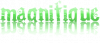 magn215.png