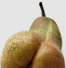 Poire érotique.png