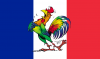 Drapeau-France-Coq-Football.png