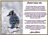 J'écoute l'oiseau bleu.jpg