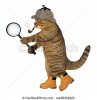 verre-magnifier-chat-photo-sous-licence_csp56302820.jpg