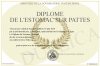 700-646117-Diplome+de+l+estomac+sur+pattes.jpg