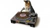 djcatscratchingpad.jpg djcatscratchingpad.jpg