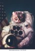 beautiful-cat-astronaut-elements-this-600w-326796260.jpg beautiful-cat-astronaut-elements-this-600w-326796260.jpg