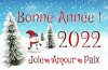 Bonne-Année-2022 (1).jpg