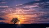 un-arbre-et-un-coucher-de-soleil-fond-d-ecran-2880x1620_52.jpg un-arbre-et-un-coucher-de-soleil-fond-d-ecran-2880x1620_52.jpg