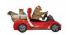 show_voyager-en-voiture-avec-son-chat-en-toute-securite.jpg