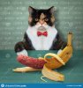 chat-de-manger-des-saucisses-en-peau-banane-le-coloré-multiples-dans-un-noeud-papillon-rouge-...jpg chat-de-manger-des-saucisses-en-peau-banane-le-coloré-multiples-dans-un-noeud-papillon-rouge-...jpg