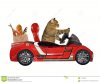 chat-dans-une-voiture-rouge-121999895.jpg