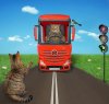chat-faisant-du-stop-sur-la-route-l-auto-stoppeur-beige-se-trouve-de-autre-côté-rue-et-des-v...jpg chat-faisant-du-stop-sur-la-route-l-auto-stoppeur-beige-se-trouve-de-autre-côté-rue-et-des-v...jpg