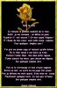 Telle la rose 2.jpg
