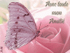 papillon + rose.gif