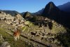 machu-pichu.jpg