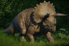 Triceratops_1600x.jpg Triceratops_1600x.jpg