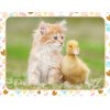 puzzle-30-pcs-chaton-roux-et-bebe-canard-nathan.jpg