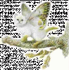 image_0980383_20210414_ob_29fd1f_chat-papillon.gif image_0980383_20210414_ob_29fd1f_chat-papillon.gif