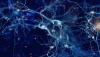 brain-pic5_animated_synapses-2.gif brain-pic5_animated_synapses-2.gif
