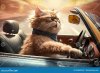 chats-conduite-voiture-sport-convertible-avec-soufflage-de-fourrure-dans-le-vent-illustration-...jpg