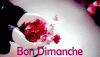 gif-bon-dimanche-31.gif