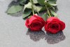 two-red-roses-4210614_1280.jpg