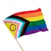 drapeau-lgbtqi-progress-pride-sur-hampe.jpg