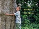 arbres en action.jpg