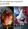 Poulets.jpg