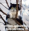 hibou.jpg