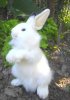 lapin-blanc-dresse-32cm.jpg