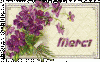 merci violet.gif