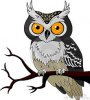 hibou-de-nuit-21226350.jpg