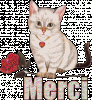 merci + chat 22.gif