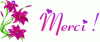 merci + coeur rose.gif