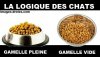 logique-du-chat-gamelle.jpg