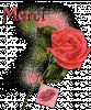 merci + rose.gif