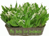 muguet.gif